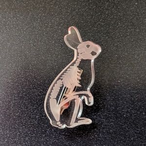Jewelry - Transparent Rabbit Skeleton Pin Brooch NWOT Jewelry - Transparent Rabbit Skeleton Pin Brooch NWOT